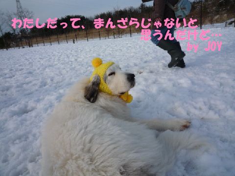 わたしだって、かぶるわよ！