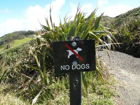 NO DOGS