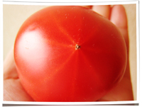 トマトミニi.jpg