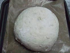 image 322.編集.JPG