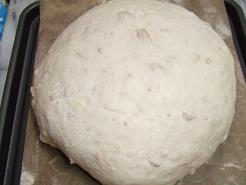 image 324.編集.JPG