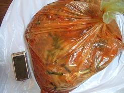 image 544.編集.JPG