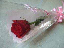 imageMDM315 024.バラ.JPG