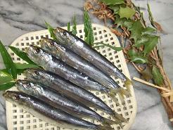 image 566.編集.JPG