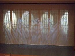 imageMDM315 034..JPG