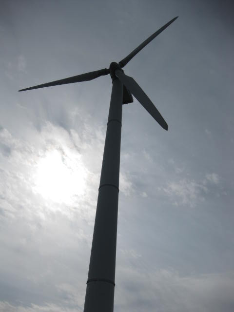 近くで見るとでかい・・・