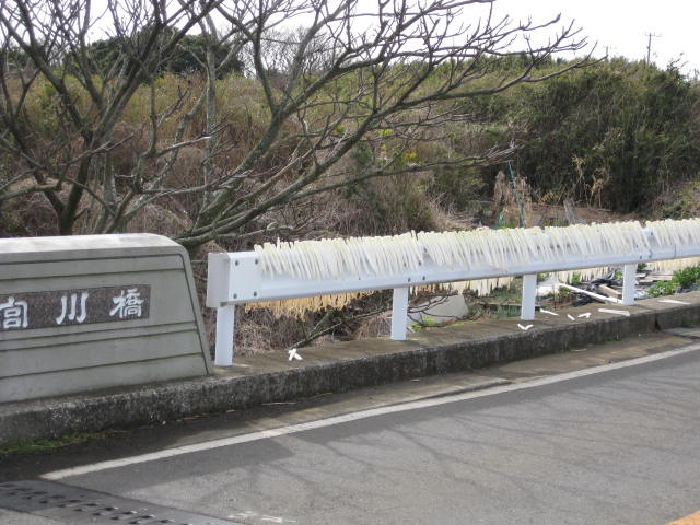 ガードレールに三浦ダイコン