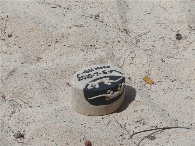 CIMG2344 (Small).JPG