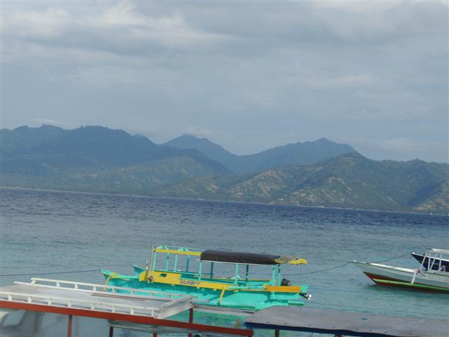 CIMG2103 (Small).JPG