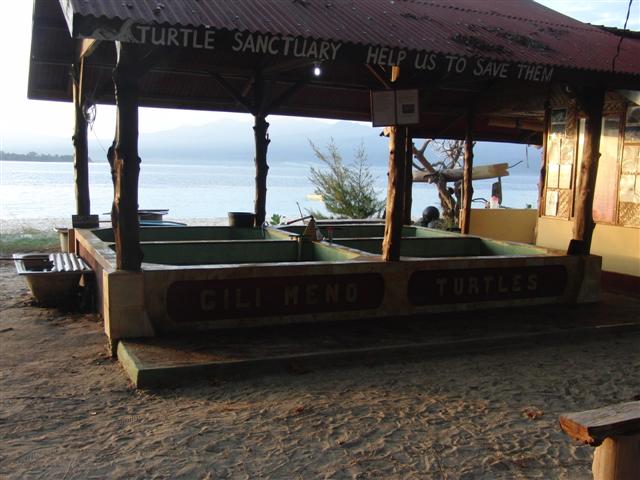 CIMG2271 (Small).JPG