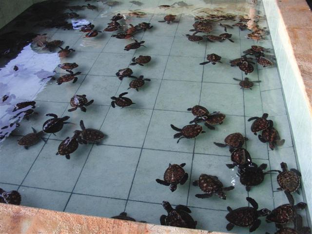 CIMG2276 (Small).JPG