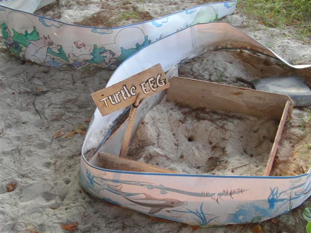 CIMG2278 (Small).JPG