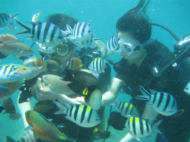 IMG_1963 (Small).JPG