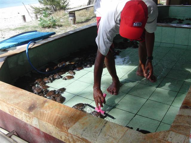 CIMG2329 (Small).JPG