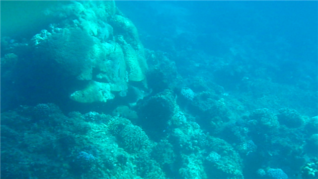 vlcsnap-2010-09-13-01h08m11s77 (Small).png