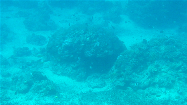 vlcsnap-2010-09-13-00h29m42s37 (Small).png