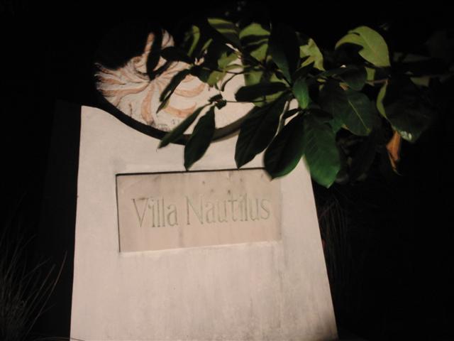 CIMG2182 (Small).JPG