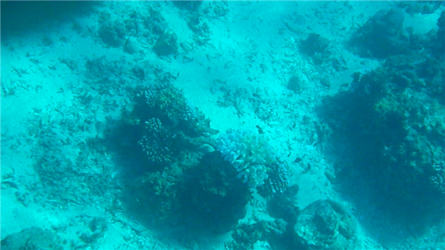 vlcsnap-2010-09-13-00h36m12s94 (Small).png