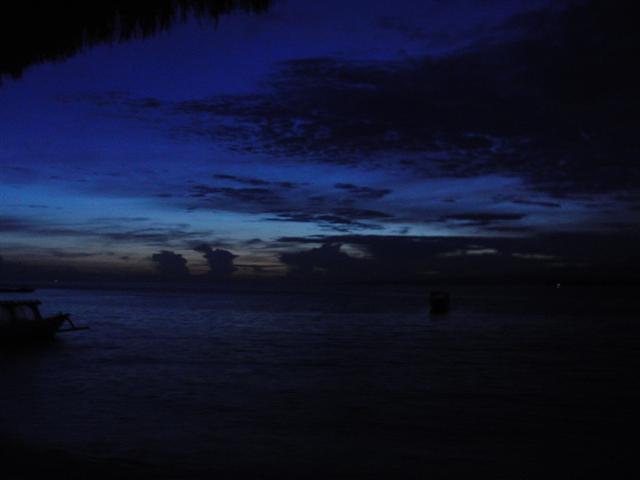 CIMG2220 (Small).JPG