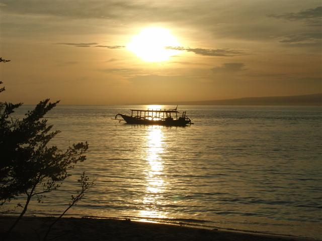 CIMG2279 (Small).JPG