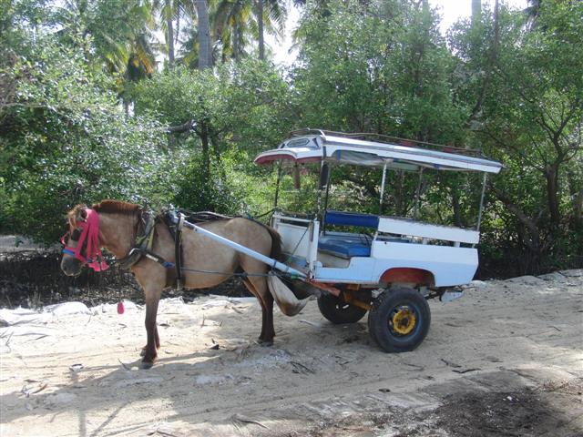 CIMG2310 (Small).JPG