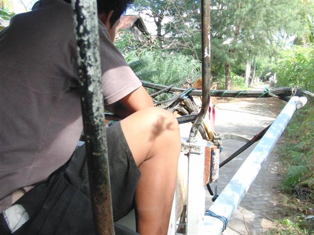 CIMG2295 (Small).JPG