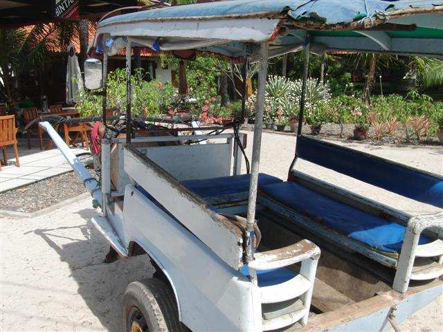 CIMG2326 (Small).JPG