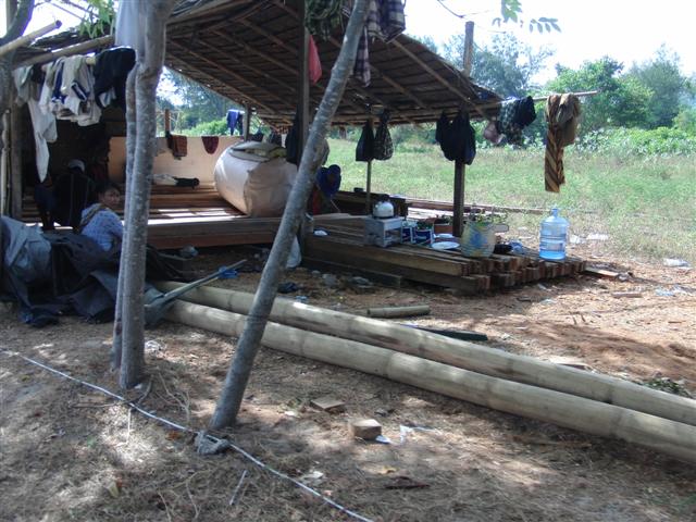 CIMG2321 (Small).JPG