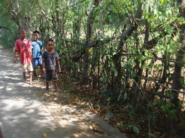 CIMG2301 (Small).JPG