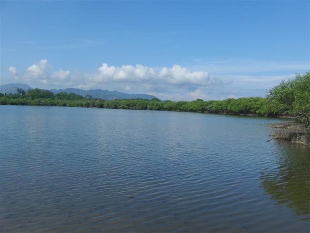 CIMG2306 (Small).JPG