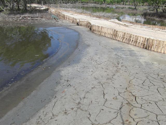 CIMG2308 (Small).JPG