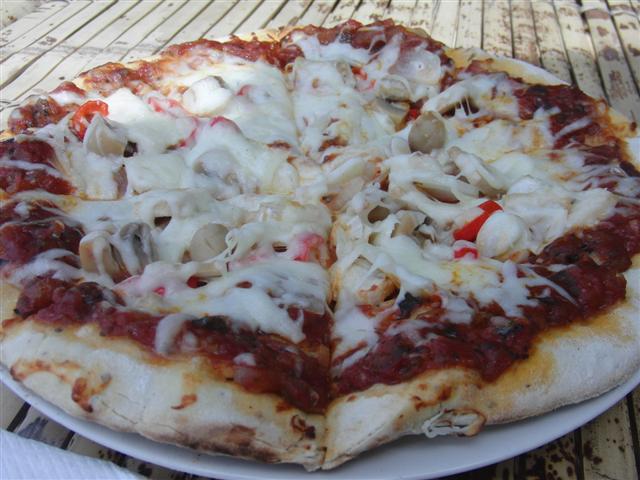 CIMG2339 (Small).JPG