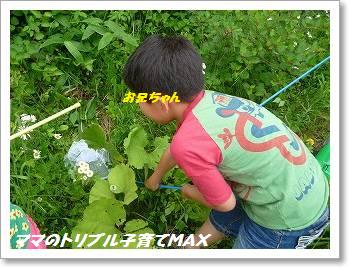 img35914.jpg