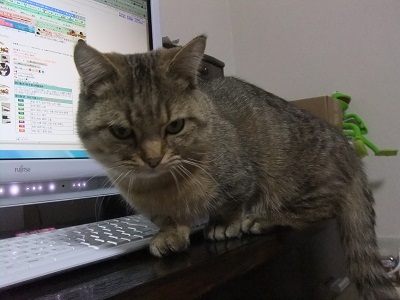 2011-0309 3.JPG