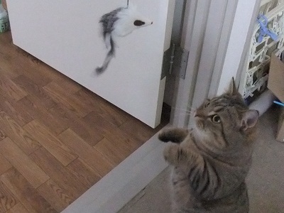 2011-0603 1.JPG