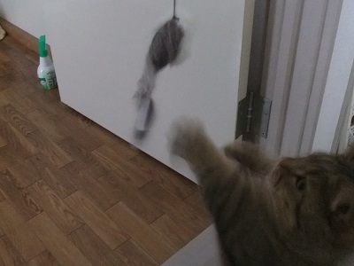 2011-0603 3.JPG