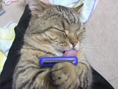 2011-0613 3.JPG