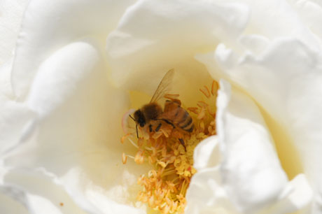 2011.5.25.14.jpg