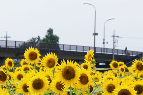 2011.8.14.01.jpg