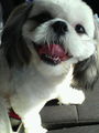2008.6.17　アフター.jpg