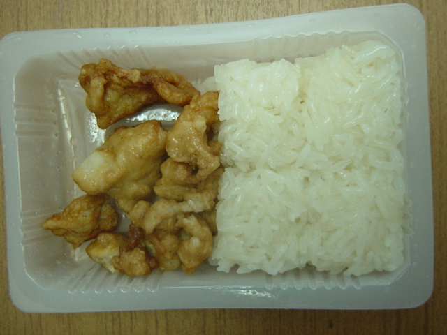 20110728-bento2