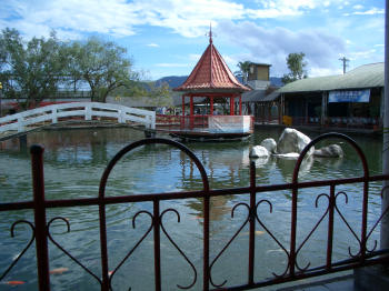 pond