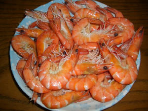 shrimp