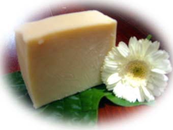 ラベンダーシャンプーバー