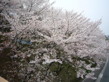 荒山公園