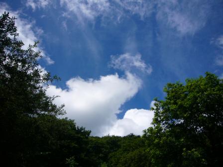 夏の空