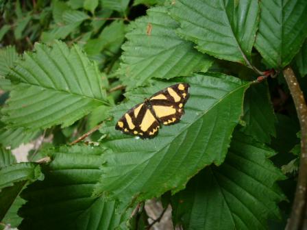 なんて名前でしょう？^^;