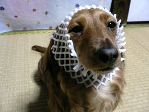 固まってます(笑)