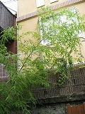 IMG_0405.jpg