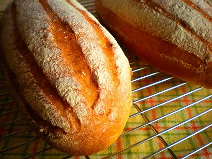 ミルクブレッド